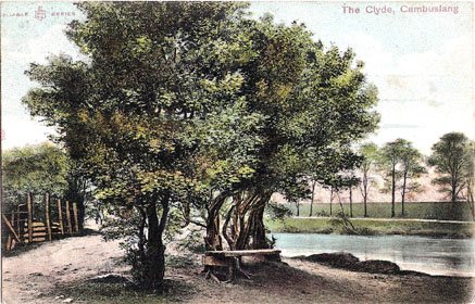The Clyde - Circa 1900 - Card Dated 1907 - Published by Peddie & Co., Cambuslang - Reliable Series No. 805